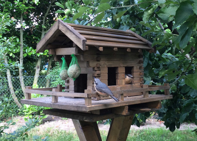 Vogelhaus Bauanleitungen Vogelhaus Selber Bauen Mit Der Richtigen